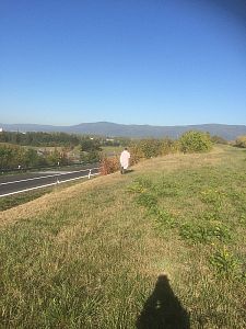 Instalace pachového ohradníku na úseku D8 SSÚD Řehlovice