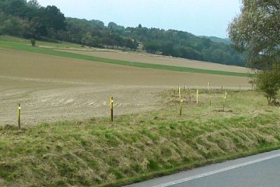 Ochrana konzumního hrachu na Farmě Domaslavice